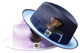 Havana Collection