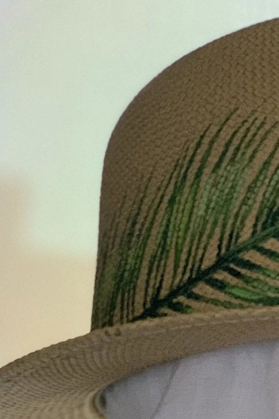 palm fedora