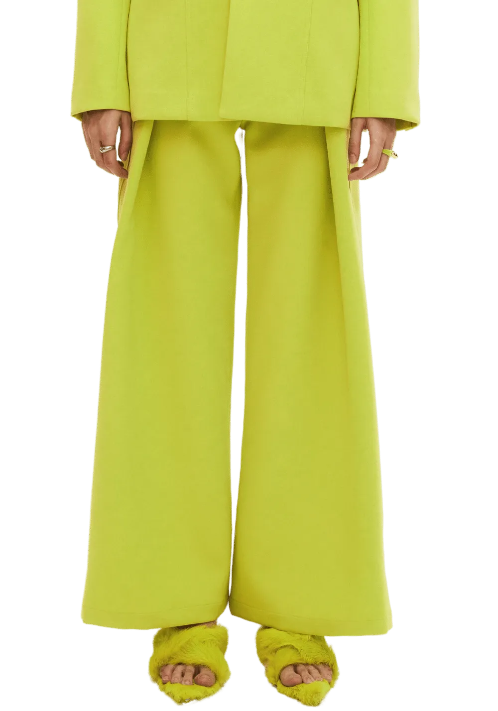 Pleated Oversized Trousers